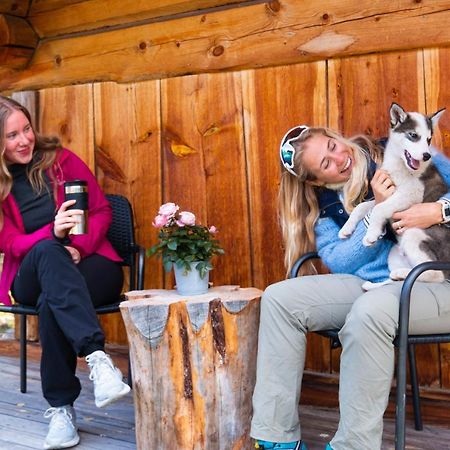 Jotunheimen Husky Lodge Randsverk Buitenkant foto