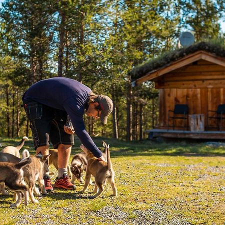 Jotunheimen Husky Lodge Randsverk Buitenkant foto