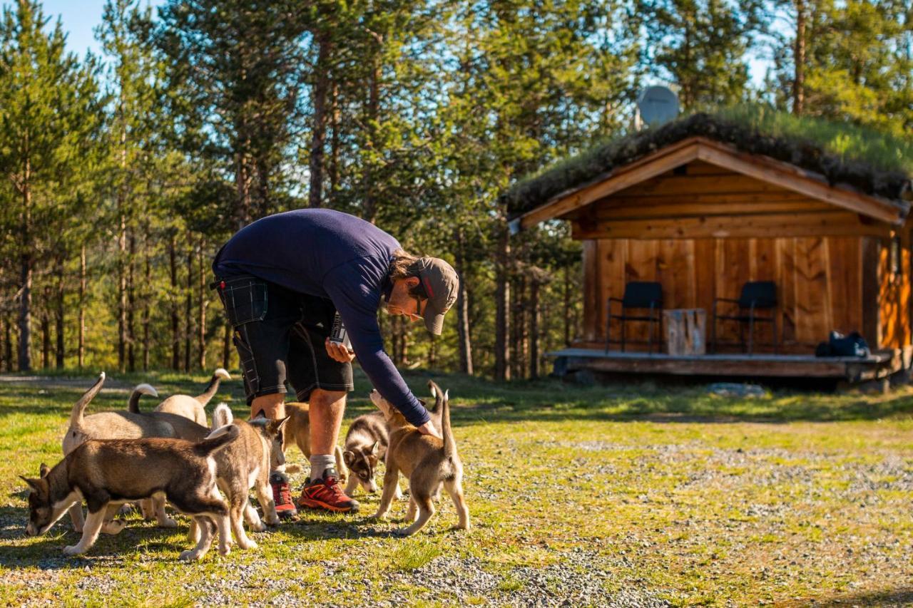 Jotunheimen Husky Lodge Randsverk Buitenkant foto