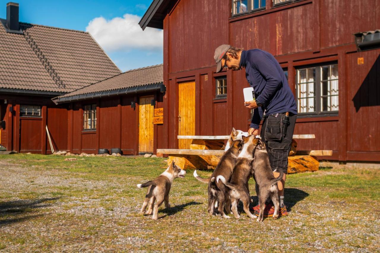 Jotunheimen Husky Lodge Randsverk Buitenkant foto