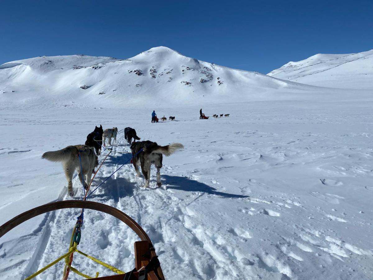 Jotunheimen Husky Lodge Randsverk Buitenkant foto
